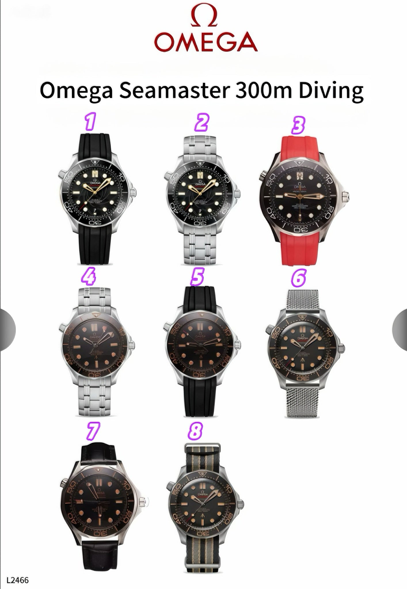 L2466 Luna Watch