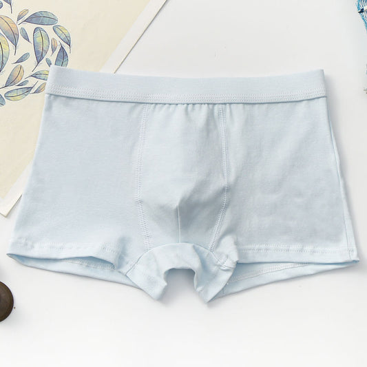 L769 Luna briefs