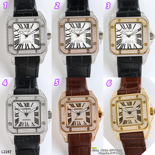 L2247 Luna Watch